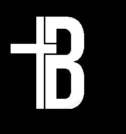 Логотип BOREYRO